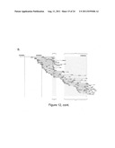 INTERMITTENT DETECTION DURING ANALYTICAL REACTIONS diagram and image