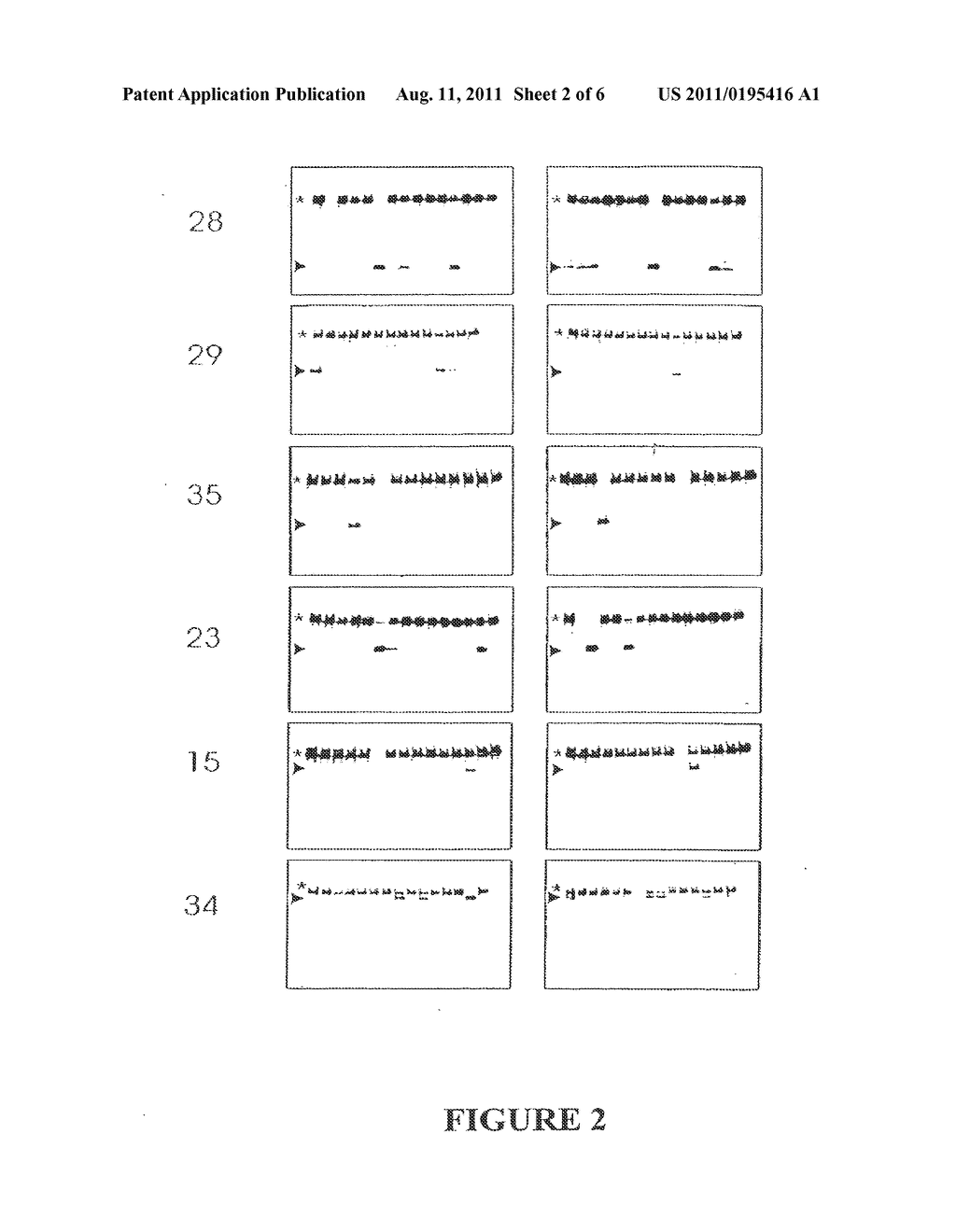 DISEASE DETECTION BY DIGITAL PROTEIN TRUNCATION ASSAYS - diagram, schematic, and image 03