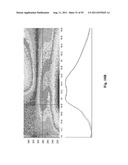 SYSTEMS AND METHODS FOR DIAGNOSING PARASITE INFECTIONS diagram and image