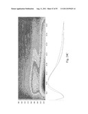 SYSTEMS AND METHODS FOR DIAGNOSING PARASITE INFECTIONS diagram and image