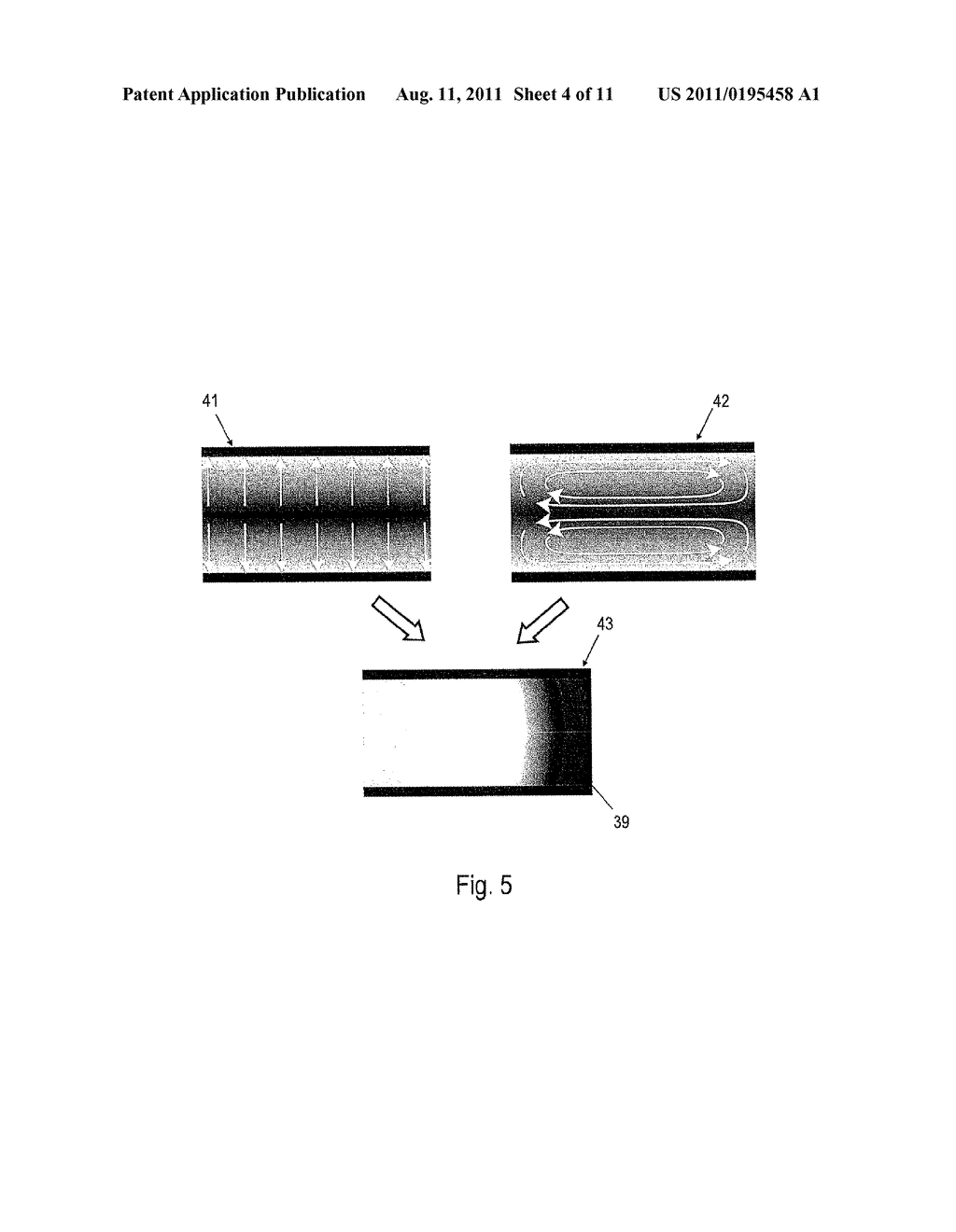 Method and Apparatus for Amplifying Nucleic Acid Sequences - diagram, schematic, and image 05