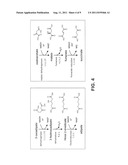 MICROORGANISMS FOR THE PRODUCTION OF ADIPIC ACID AND OTHER COMPOUNDS diagram and image