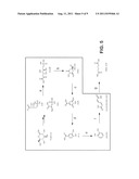 MICROORGANISMS FOR THE PRODUCTION OF ADIPIC ACID AND OTHER COMPOUNDS diagram and image