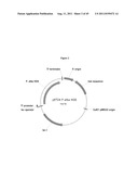 MEMBRANE BIOREACTOR FOR INCREASED PRODUCTION OF ISOPRENE GAS diagram and image