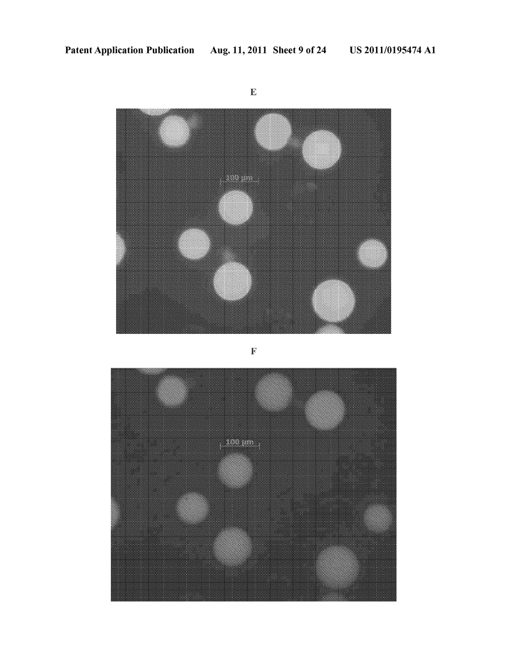 METHODS OF USING A MULTIPLE SHEATH FLOW DEVICE FOR THE PRODUCTION OF     MICROCAPSULES - diagram, schematic, and image 10