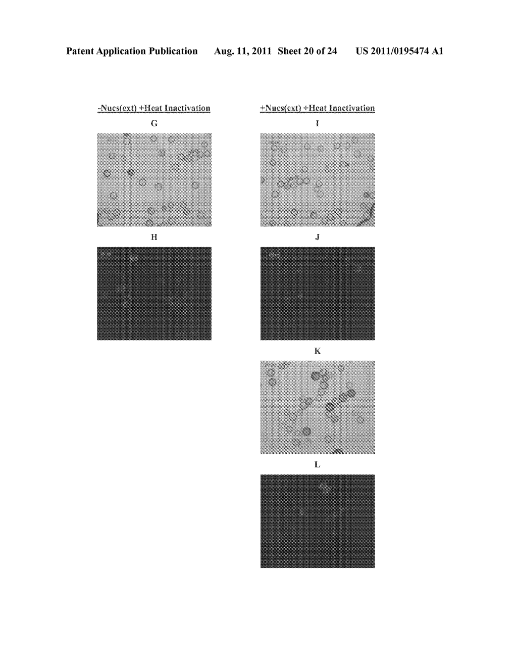 METHODS OF USING A MULTIPLE SHEATH FLOW DEVICE FOR THE PRODUCTION OF     MICROCAPSULES - diagram, schematic, and image 21