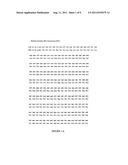 POLYMERASE diagram and image