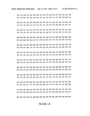 POLYMERASE diagram and image