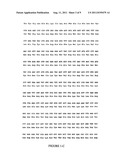 POLYMERASE diagram and image