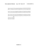 POLYMERASE diagram and image