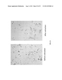 Methods of and Systems for Dewatering Algae and Recycling Water Therefrom diagram and image