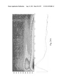 DEVICES FOR COLLECTION AND STABILIZATION OF BIOMARKERS IN LIQUID SAMPLES diagram and image