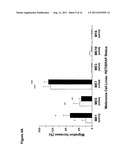 UTILITY OF RET MUTANT IN DIAGNOSIS AND TREATMENT OF MELANOMA diagram and image