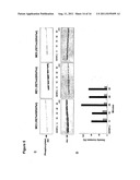 UTILITY OF RET MUTANT IN DIAGNOSIS AND TREATMENT OF MELANOMA diagram and image