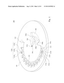 CENTRIFUGAL ROTOR AND METHOD FOR USING THE SAME FOR DELIVERING BIOLOGICAL     SAMPLE diagram and image