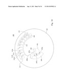 CENTRIFUGAL ROTOR AND METHOD FOR USING THE SAME FOR DELIVERING BIOLOGICAL     SAMPLE diagram and image