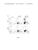 TREATMENT OF TH17-MEDIATED AUTOIMMUNE DISEASE VIA INHIBITION OF STAT 3 diagram and image