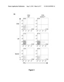 TREATMENT OF TH17-MEDIATED AUTOIMMUNE DISEASE VIA INHIBITION OF STAT 3 diagram and image