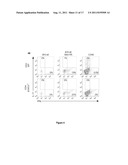 TREATMENT OF TH17-MEDIATED AUTOIMMUNE DISEASE VIA INHIBITION OF STAT 3 diagram and image