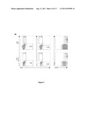 TREATMENT OF TH17-MEDIATED AUTOIMMUNE DISEASE VIA INHIBITION OF STAT 3 diagram and image