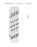 Configuration of Nodes for Local Data Transmission Which are Under an     Overlay Wide Area Macro Network Operated on the Same Frequency Layer diagram and image