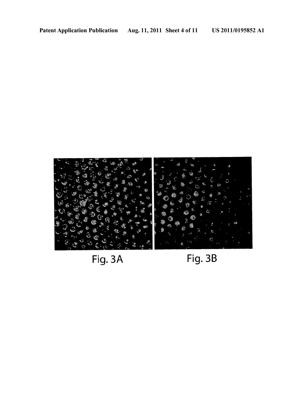 METHODS FOR DETERMINING THE CONCENTRATION OF AN ANALYTE IN SOLUTION - diagram, schematic, and image 05