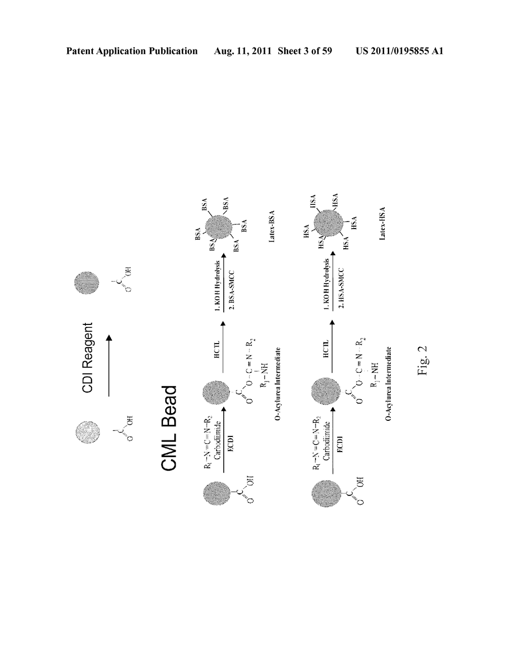 SYSTEMS AND METHODS FOR IMPROVING BIOMARKER AVAILABILITY - diagram, schematic, and image 04