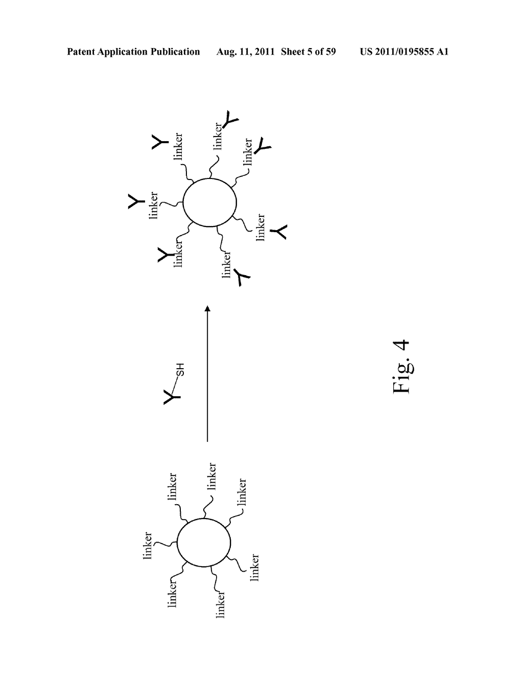 SYSTEMS AND METHODS FOR IMPROVING BIOMARKER AVAILABILITY - diagram, schematic, and image 06