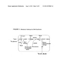 METHOD FOR HIGH-THROUGHPUT SCREENING OF COMPOUNDS AND COMBINATIONS OF     COMPOUNDS FOR DISCOVERY AND QUANTIFICATION OF ACTIONS, PARTICULARLY     UNANTICIPATED THERAPEUTIC OR TOXIC ACTIONS, IN BIOLOGICAL SYSTEMS diagram and image