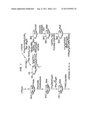 Beta-L-2 -Deoxy-Nucleosides for the Treatment of Hepatitis B diagram and image