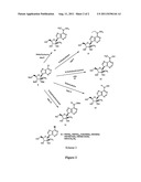 SYNTHESIS AND USE OF 2 -SUBSTITUTED-N6-MODIFIED NUCLEOSIDES diagram and image