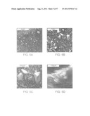 SYNTHESIS OF DIMETHYL CARBONATE FROM CARBON DIOXIDE AND METHANOL diagram and image