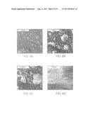 SYNTHESIS OF DIMETHYL CARBONATE FROM CARBON DIOXIDE AND METHANOL diagram and image