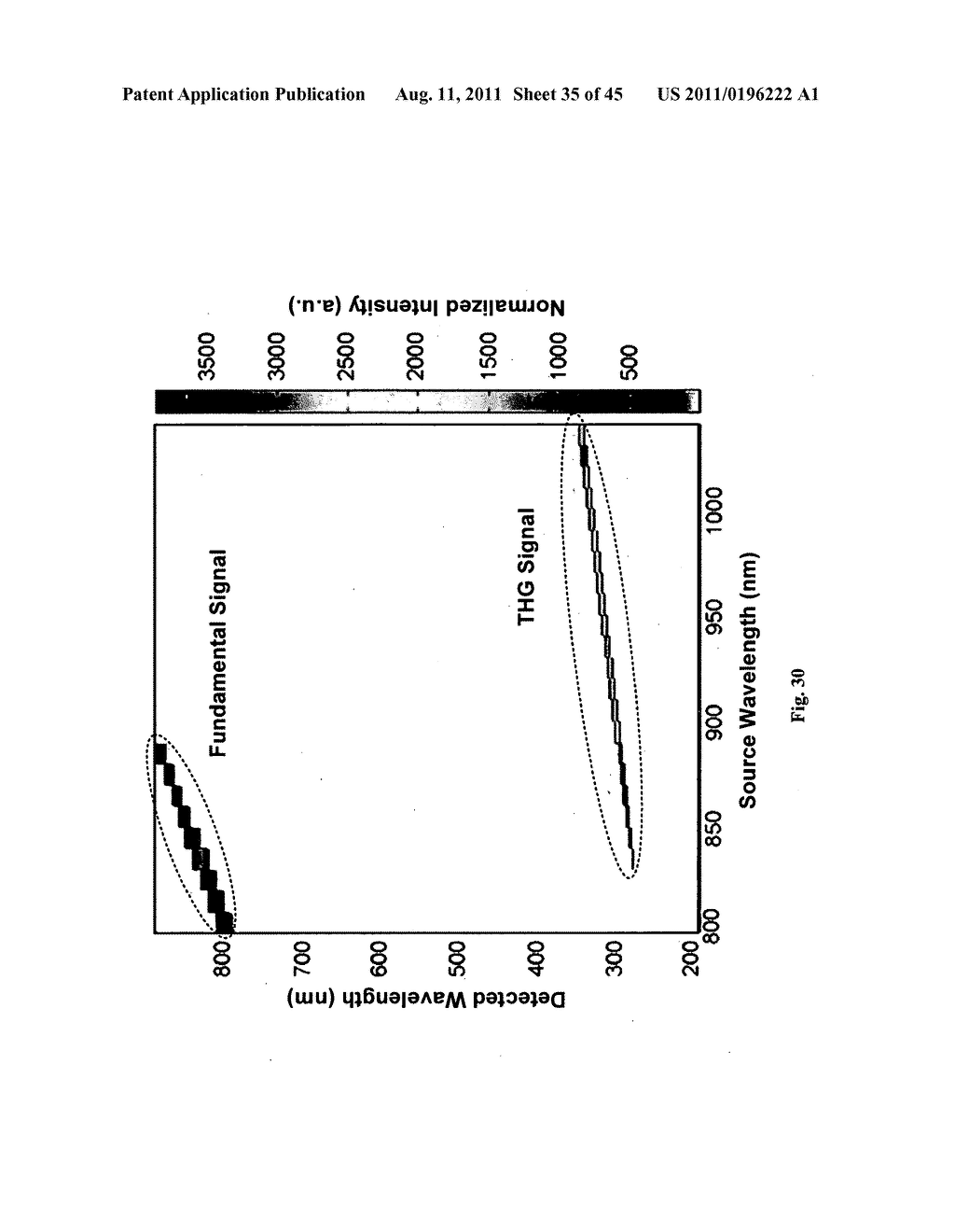 Systems, devices, and methods including a dark-field     reflected-illumination apparatus - diagram, schematic, and image 36