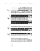 Isolated aquaporin in its closed conformation diagram and image