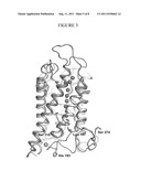 Isolated aquaporin in its closed conformation diagram and image