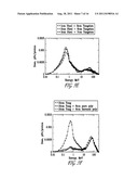 SHIELDING FOR COMPACT RADIATION SOURCES diagram and image