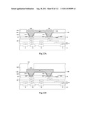 SEMICONDUCTOR CHIP diagram and image