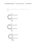 ELECTRON BEAM GENERATOR HAVING ADJUSTABLE BEAM WIDTH diagram and image