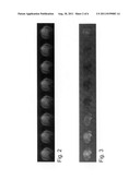 Interference compensation in MR measurements on moving objects through     adjustment of the measurement conditions diagram and image