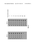 FAST-DRYING, SOLVENT-BASED INKJET INK COMPOSITION AND A METHOD AND SYSTEM     FOR PRINTING SUCH INKS diagram and image