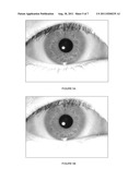 Iris Data Extraction diagram and image