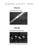 SPIRAL TAP diagram and image