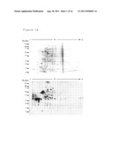 NEW ANTIGENS FOR PARATUBERCULOSIS DIAGNOSIS AND VACCINATION diagram and image