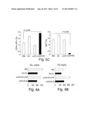 COMBINATION THERAPY OF BETA-GLYCOLIPIDS AND ANTIBODIES FOR THE TREATMENT     OF IMMUNE-RELATED DISORDERS diagram and image