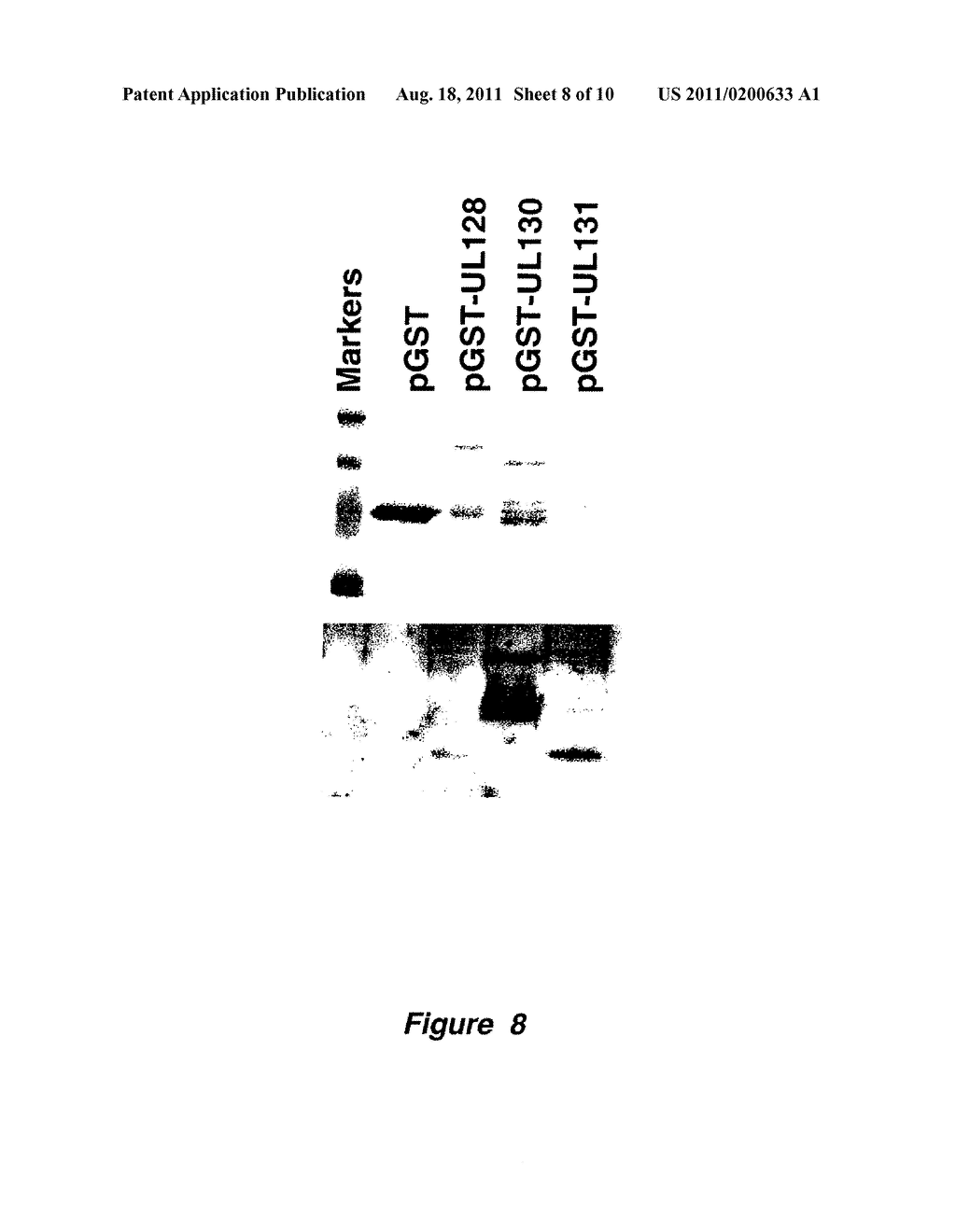 Cytomegalovirus Surface Protein Complex for Use in Vaccines and as a Drug     Target - diagram, schematic, and image 09