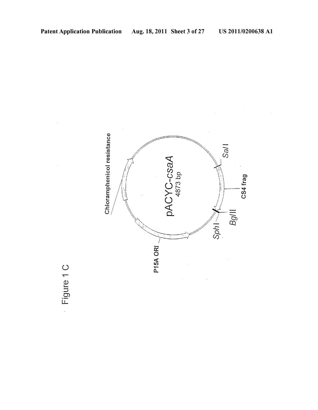 BACTERIAL VACCINE - diagram, schematic, and image 04