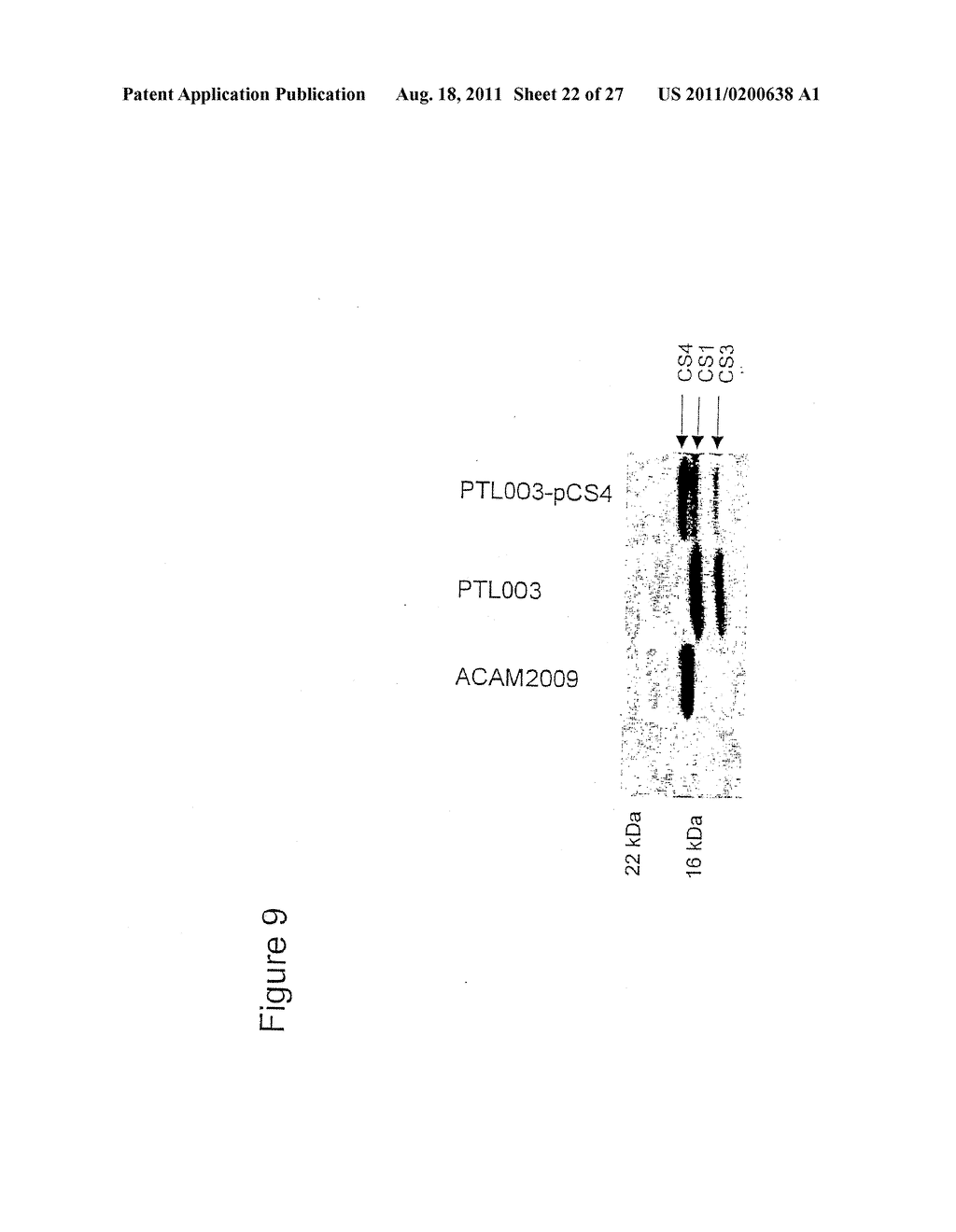 BACTERIAL VACCINE - diagram, schematic, and image 23