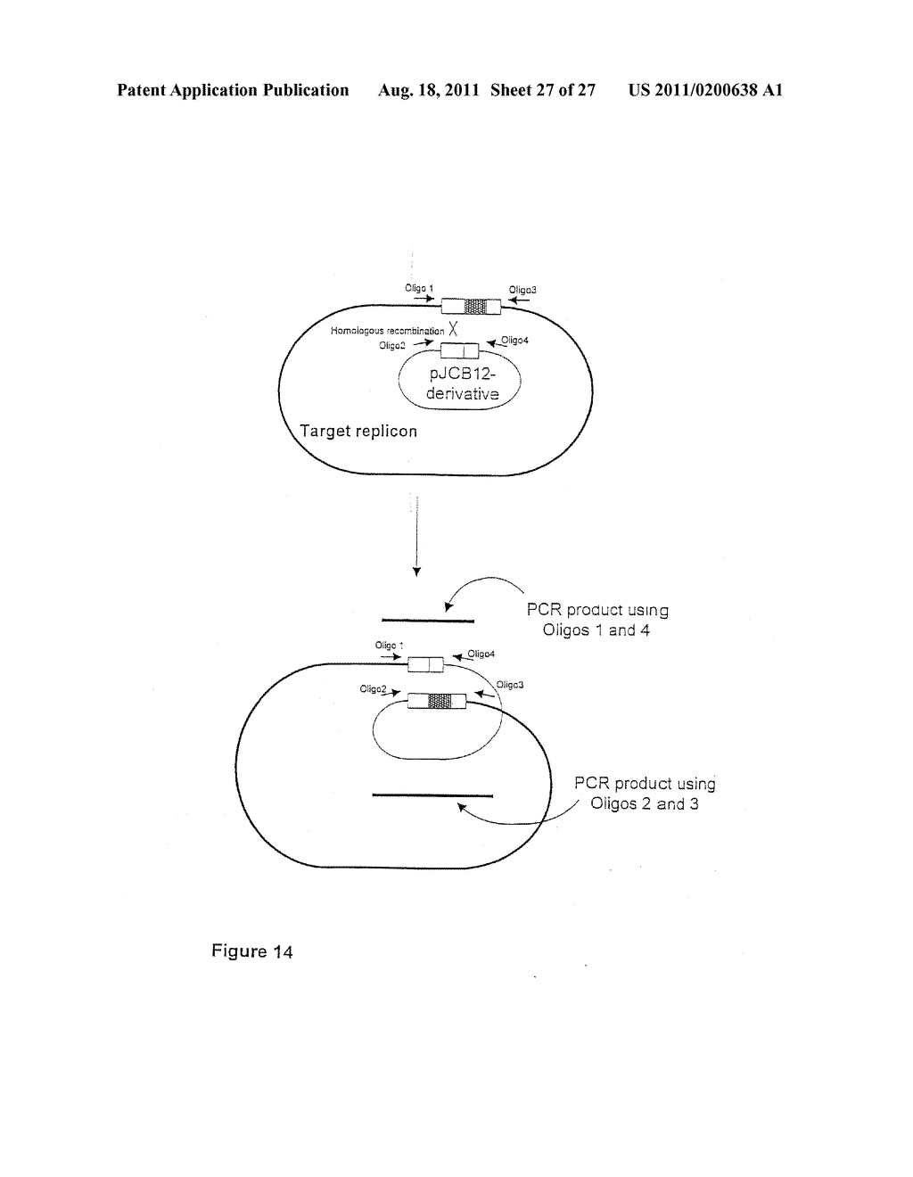 BACTERIAL VACCINE - diagram, schematic, and image 28