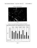 Method For The Treatment Of Proliferative Disorders Of The Eye diagram and image